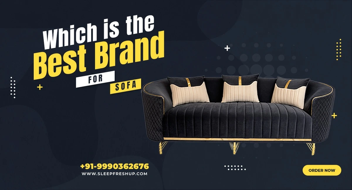 Best Brand For Luxury Sofa In Delhi